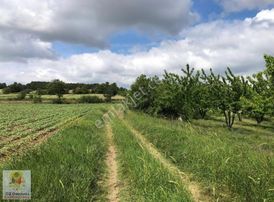 9 Dönüm %5 İmarlı Yetişkin Kiraz Bahçesi -osmanlı Gayrımenklden