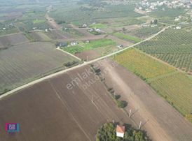 Mudanya Küçükyenice'de 9.400m2 Tek Tapu 6 Parçaya Bölünebilir