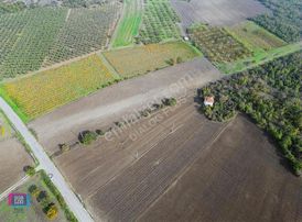 Mudanya Küçükyenice'de 9.400m2 Tek Tapu 6 Parçaya Bölünebilir