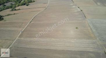 Silivri 8004 M² Yatırımlık Tarla Yola Cephe Uygun Fiyat