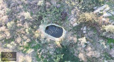 Küçük Menderes'ten Ödemiş Balabanlı Mh Satılık Zeytinlik