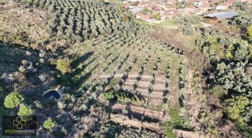 Küçük Menderes'ten Ödemiş Balabanlı Mh Satılık Zeytinlik