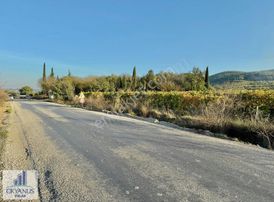 Türkmenköy De 3.150 M2 Bağ , Asfalta Sıfır, 90 Mt Yola Cepheli