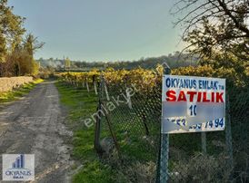 Türkmenköy De 3.150 M2 Bağ , Asfalta Sıfır, 90 Mt Yola Cepheli