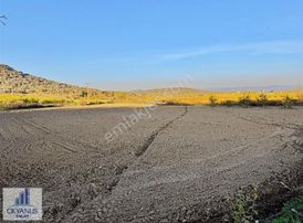 Türkmenköy De 6.360 M2 Tarla, Asfalta Sıfır, Köşe Parsel