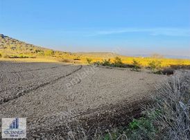 Türkmenköy De 6.360 M2 Tarla, Asfalta Sıfır, Köşe Parsel