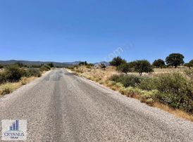 Yaylaköy De 9.900 M2 Tarla, Asfalta Sıfır, 80 Mt Cepheli