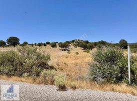 Yaylaköy De 9.900 M2 Tarla, Asfalta Sıfır, 80 Mt Cepheli