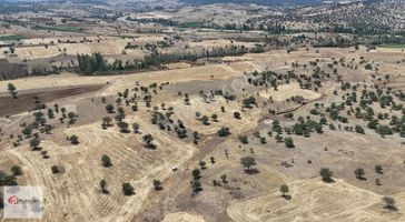 Hanedan'dan,güneysınır Merkeze Yakın 6094 M2 Müstakil Tarla