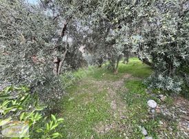 Füsun Emlak'tan Esenköy Mah. Müstakil 420 M2 Arazi Satılıktır