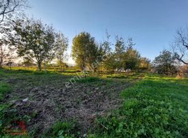 El/ya 'dan Kepsut Merkezde Muhteşem Hobi Bahçesi + Su + Ceviz