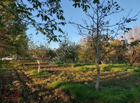 El/ya 'dan Kepsut Merkezde Muhteşem Hobi Bahçesi + Su + Ceviz