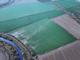 Nazilli Sümerde Satılık 30.573 M2 Tarla