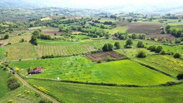 Kocaeli Karamürsel Yalakdere 13,442 M2 Tarla İçinde Evi Olan