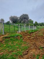 Bilecik Söğütte Asfalt Yola Cephe Etrafı Çevrili Satılık Arsa