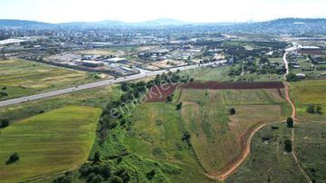 Paşaköyde Asfalt Yola 2. Parsel 428 M2 Hisseli Arsa