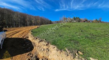 Acara'dan/iznik Kutluca'da Asfalta Cephe / 423m² Villalık Arsa