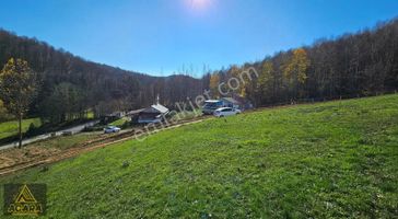 Acara'dan/iznik Kutluca'da Asfalta Cephe / 423m² Villalık Arsa