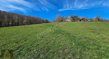 Acara'dan/iznik Kutluca'da Asfalta Cephe / 438m² Villalık Arsa