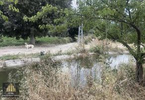 Sakarya / Geyve / Bozören Mh. Satılık Arsa&dubleks Ev