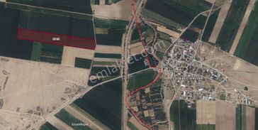 Doğanlı Mahallesinde Satılık 66.558 M2 Tarla