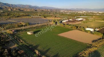 Atça Da 4.5 Dönüm Hobi Bahçesi