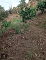 Dereağzı 4327 M2 İncirlik