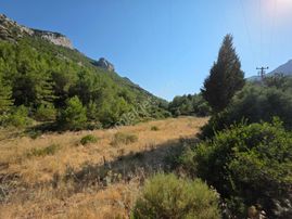 Rest Emlak - Yolu Olan Tarla