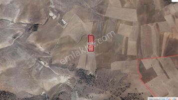 Satılmışoğlu'nda Büyük Alan Fırsatı: 9589 M² Verimli Taban Tarla