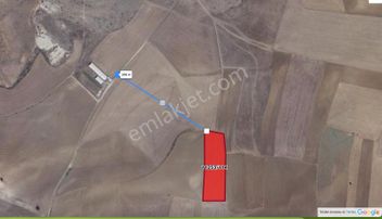 Satılmışoğlu'nda Büyük Alan Fırsatı: 9589 M² Verimli Taban Tarla