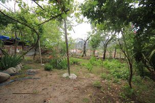 🌸aktif'ten Burhaniyede Bahadınlı'da Satılık 300 M2 Dam Ve Bahçesi Olan 4+1 İki Katlı Köy Evi🌸🌸