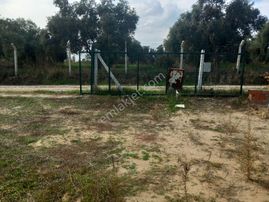 Torbalı Batı Gayrimenkul Den Satılık Tarla