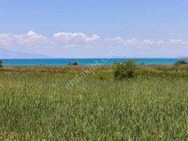 Sahile Sıfır Satılık 14 Dönüm Arsa