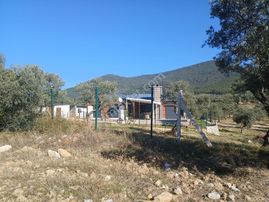 Torbalı Karakızlar Köyüne Yakın Zeytinli Tarla Satılık