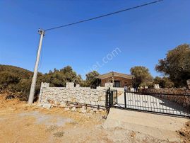 Didim Kardelende 2+1 Fiyatına Bahçeli Tek Kat Müstakil Taş Ev