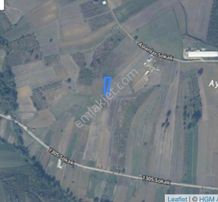 Söğütlü De Yatırımlık Kaçırılmayacak Satılık Tarla