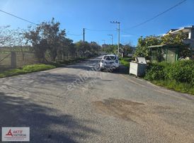 Sakarya Kaynarca Cebek 2786 M2 Kare Ormana Cepheli Resmi Yollu