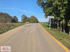 Sakarya Kaynarca Cebek 2786 M2 Kare Ormana Cepheli Resmi Yollu