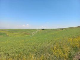 İlyap'tan Temelli Malıköyde İmarlı 250m2 Arsa