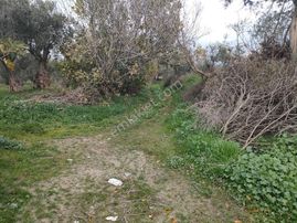 Poyracik Mah Satılık