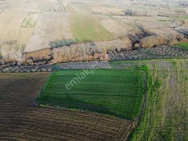 Kocaeli İzmit Bağlıca Satılık Yatırımlık Fırsat Tarla