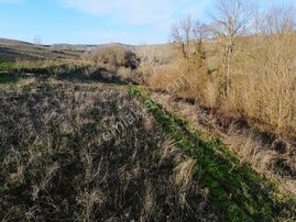 Kocaeli İzmit Bağlıca Satılık Yatırımlık Fırsat Tarla