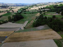 Kocaeli Kandıra Hıdırlar Mah Satılık Yatırımlık Fırsat Tarlalar