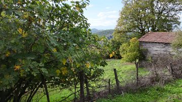 1.000 M2 Suçıktı Emirler'de %40 İmarlı Arsa Köy Evi