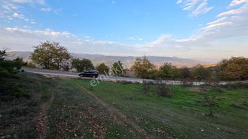 Asfalta Cepheli 1,781 M2 Akçapınar'da Kaçırılmayacak Arazi