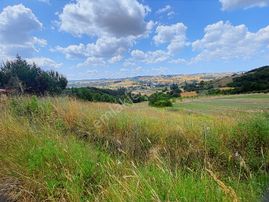 Kocaeli Kandıra Hıdırlar Mah Satılık Yatırımlık Fırsat Tarlalar