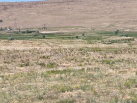 Gevaş / Gürpınar Yoluna Sıfır Satılık 6 Dönüm Arsa