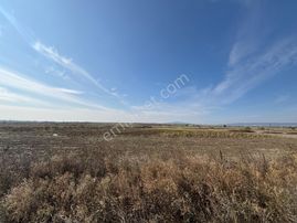 Expert'ten Karacabey Seyran'da Satılık 6400 M² Tarla