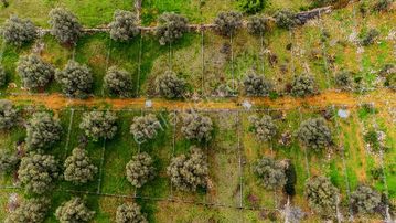 Bodrum Yalıçiftlikte 342m2 Hisse Tapulu Parsel