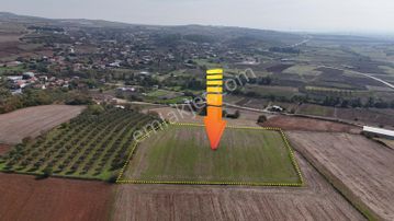 Expert'ten Karacabey Seyran'da Satılık 7500 M² Tarla